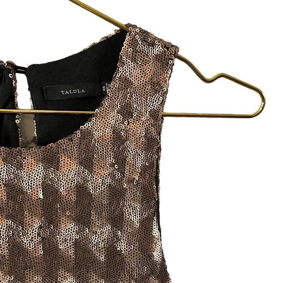 TALULA Aritzia Canterbury Sequin Dress Gold Size XS - Picture 3 of 8